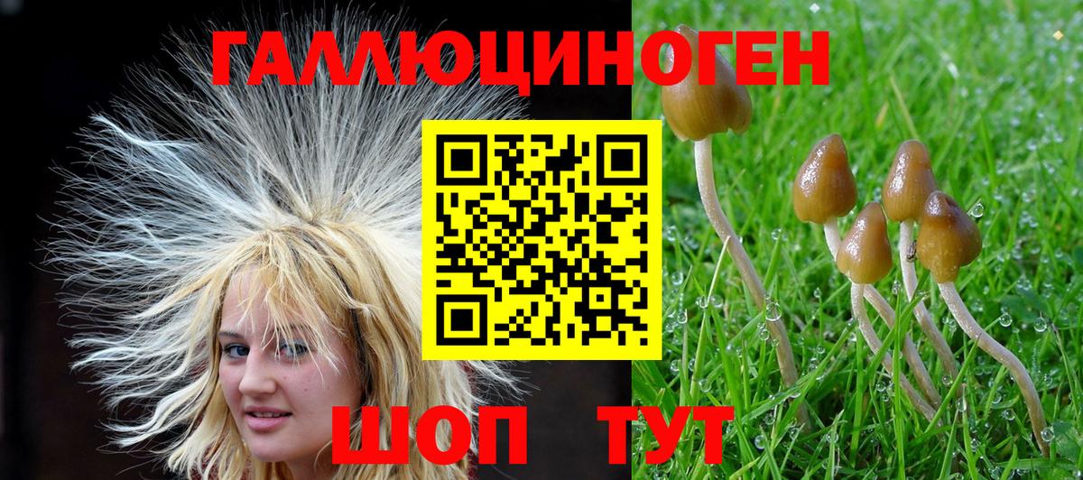 Псилоцибиновые грибы Psilocybine cubensis  Вход с VPN  закладки  Холмск  Псилоцибиновые грибы Cubensis 